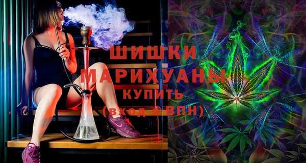прущие грибы Красавино