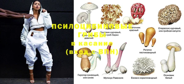 амф Волосово